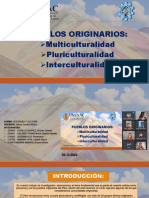 Pueblos Originarios, Multiculturalidad - Pluriculturalidad - Interculturalidad