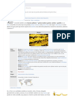 pdf24 - Converted (1.2)