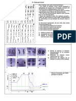 U2 C2 Doc 1