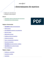 Cálculo de Determinantes de Matrices