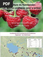 1-Bonnespratiques Framboise