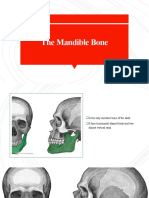 Mandibula