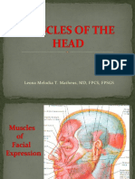 Muscles of The Head and Neck