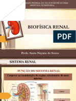 Aula 9 - Sistema Renal II