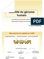 13-Stabilité Du Génome Humain