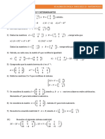 Ejercicios Del Tema 1 - Matrices y Determinantes