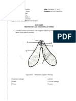 Urogenital System