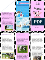 Plantilla de Triptico Nº2