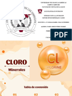 Exposición de Vitaminas y Minerales - Cloro