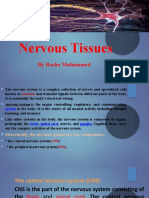 Nervous Tissues