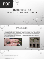 Producción de Plántulas de Hortalizas