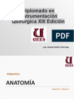 ANATOMIA Basica Enfermeria