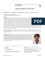 Autocrine and Paracrine Purinergic Signaling in The Most Lethal Types of Cáncer