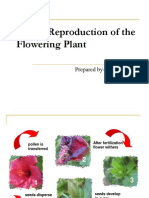 Chapter-13 (Reproduction in Plants)