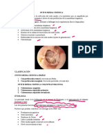 Resumen Otitis Media Cronica