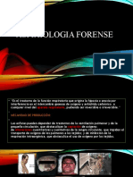 Asfixiologia Forense