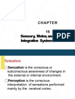 Maranatha University Sensory Motor and Integrative Systems