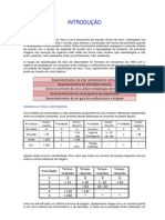 Protocolo de Manchester (Ses-Mg) - Introdução