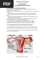 UNIT 11 (Reproductive System)