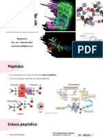 1.5 Peptidos y Proteinas