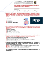 Prueba Saber Tercer Período Ciencias Naturales Terceros