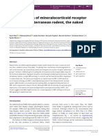 (14796813 - Journal of Molecular Endocrinology) Diversification of Mineralocorticoid Receptor Genes in A Subterranean Rodent, The Naked Mole-Rat