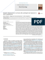 Synaptic Degeneration in Rat Brain After Prolonged Oral Exposure To Silver Nanoparticles