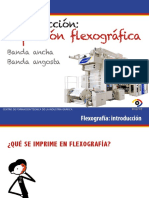 Introduccionflexografia