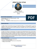 Curriculum Vitae Indra