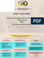 Elementos de La Planificación Estratégica de Los Recursos Humanos