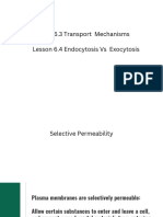 Transport Mechanisms