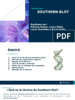 Southern Blot