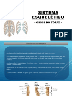 Ossos Do Tórax e Coluna Vertebral