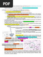 Apuntes Patologias Del Pulmon Libro de Robbins