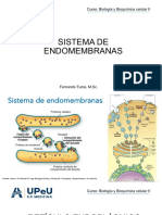 Sistema de Endomembranas