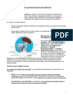 Formaciones Peritoneales Supramesocolicas