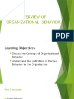 OVERVIEW OF ORGANIZATIONAL BEHAVIOR (Autosaved)