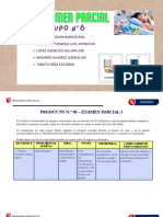 Examen Parcial I - Grupo N°6