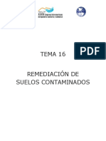 16 Remediacion