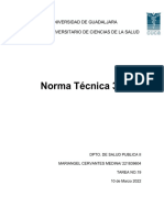 Norma Tecnica 313