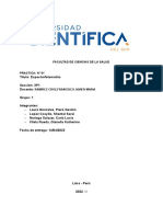 Informe N°1 Bioquímica