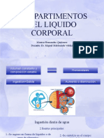 Compartimentos Del Liquido Corporal