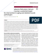 The Sarcoendoplasmic Reticulum Calcium Atpase (Serca) Pump: A Potential Target For Intervention in Aging and Skeletal Muscle Pathologies