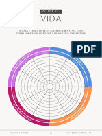 Roda Da Vida e Metas 2023