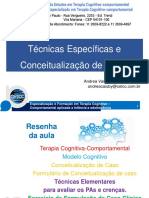 Protocolo de Atendimento Tecnicas Especificas e Conceitualizacao de Casos