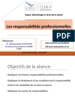 Séance 10 Résumé Les Responsabilités Professionnelles