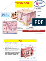 23marzoanatomía y Fisiología de La Piel