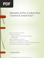 Diseases of The Conjunctiva