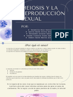 Meiosis y La Reproducción Sexual