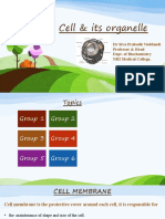 Cell & Its Organelle